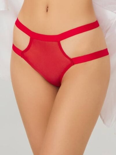Open Crotch Tulle Panty