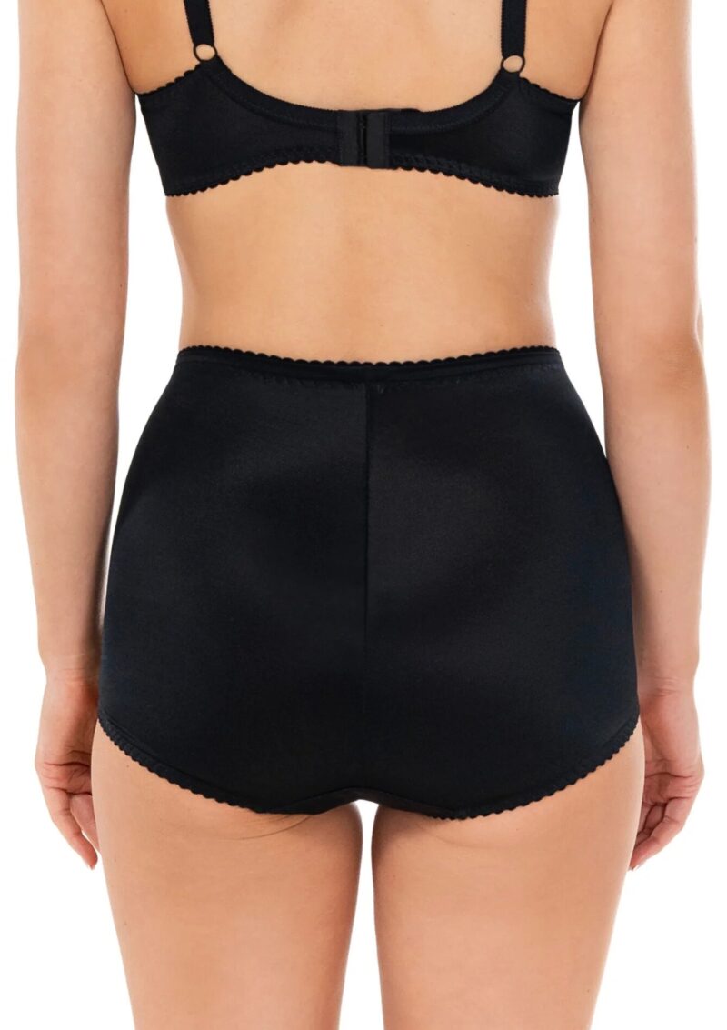 Classic High Waisted Shaping Brief - Image 5