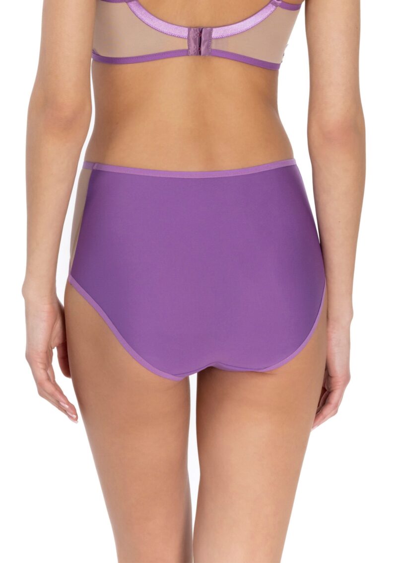 Justine High Waist Panties with Lace Orchid - Image 2